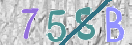 CAPTCHA Image